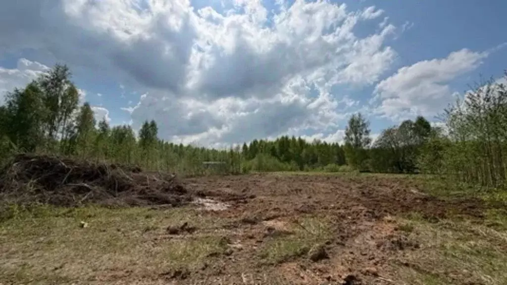 Участок в Тверская область, Кимрский муниципальный округ, д. Михеево ... - Фото 1