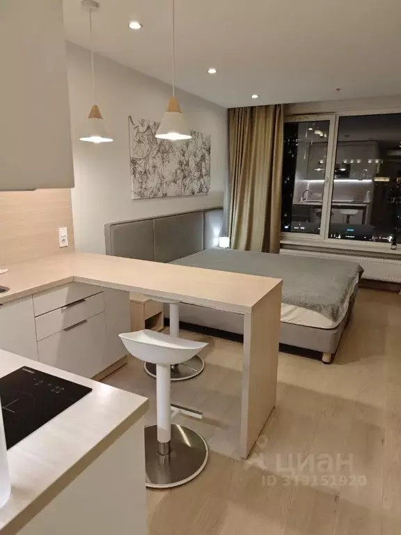 Студия Москва ул. 1-я Леонова, 18 (28.0 м) - Фото 1