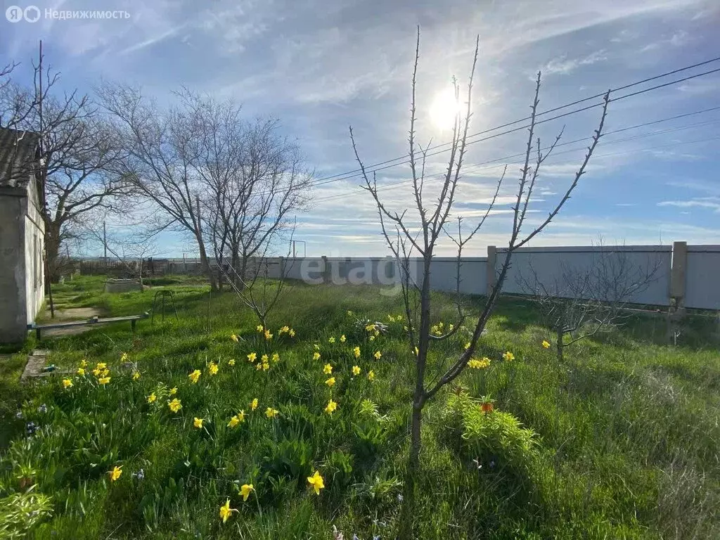 Участок в Мысовское сельское поселение, село Семёновка, Набережная ... - Фото 2
