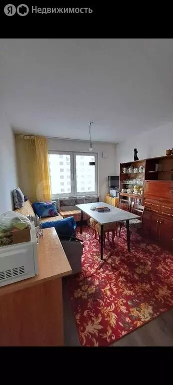 1-комнатная квартира: Санкт-Петербург, Муринская дорога, 29 (30.5 м) - Фото 2