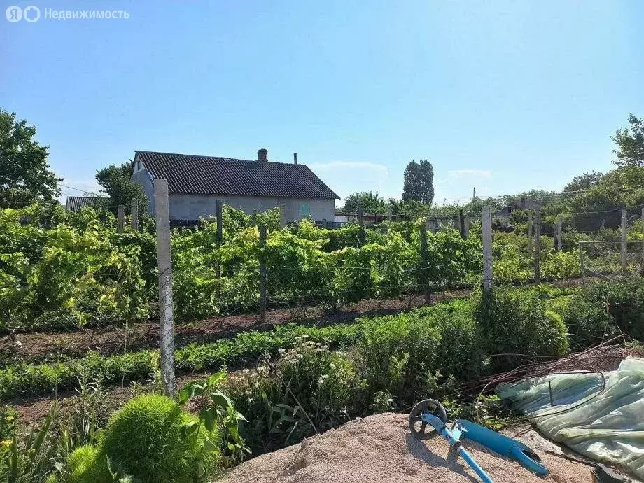 Дом в Новопокровка, улица Петрика (48 м) - Фото 1