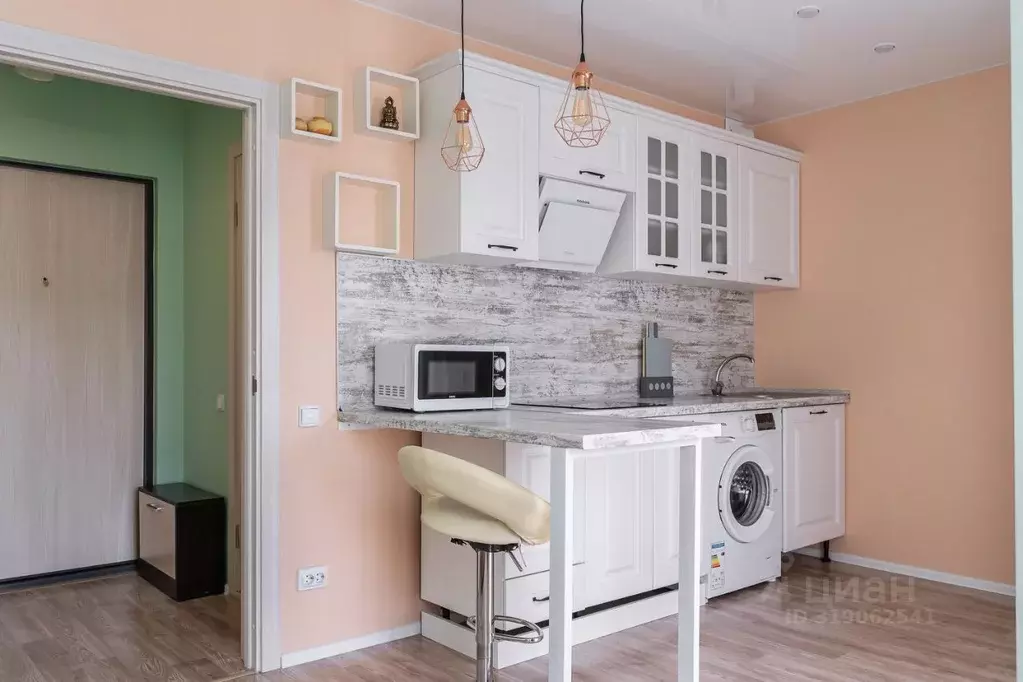 Студия Санкт-Петербург дор. Муринская, 8к2 (20.4 м) - Фото 1