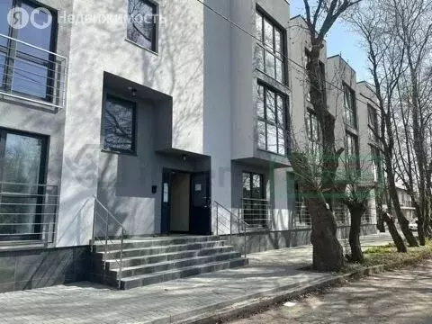 1-комнатная квартира: Калининградская область, Зеленоградский ... - Фото 1