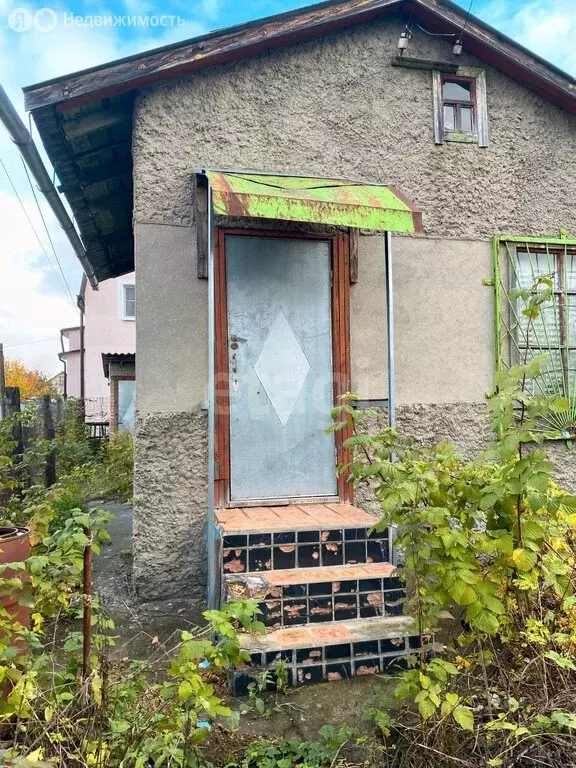 Дом в Бессоновский район, СНТ Сура (35 м) - Фото 0
