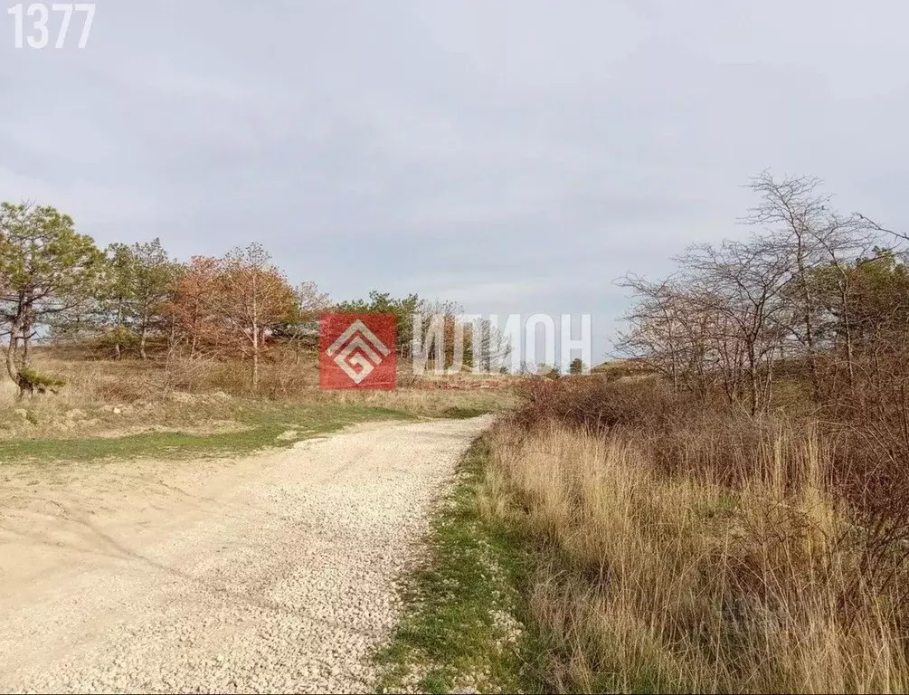 Участок в Крым, Феодосия муниципальный округ, Рассвет-2 СПК  (9.0 ... - Фото 1
