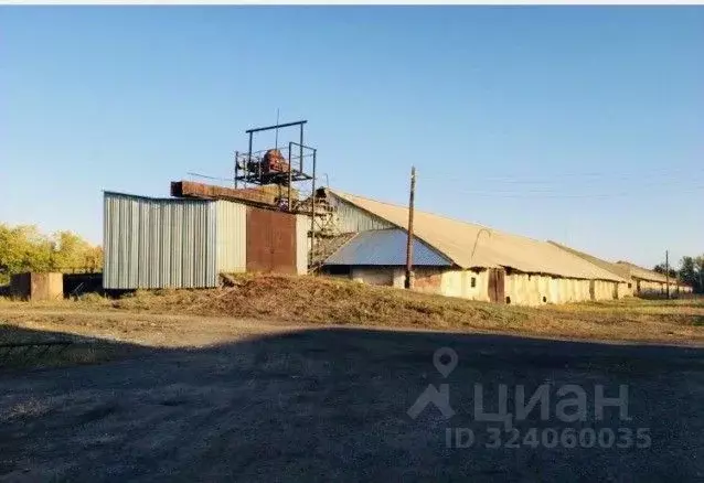 Производственное помещение в Алтайский край, Барнаул Интернациональная ... - Фото 1