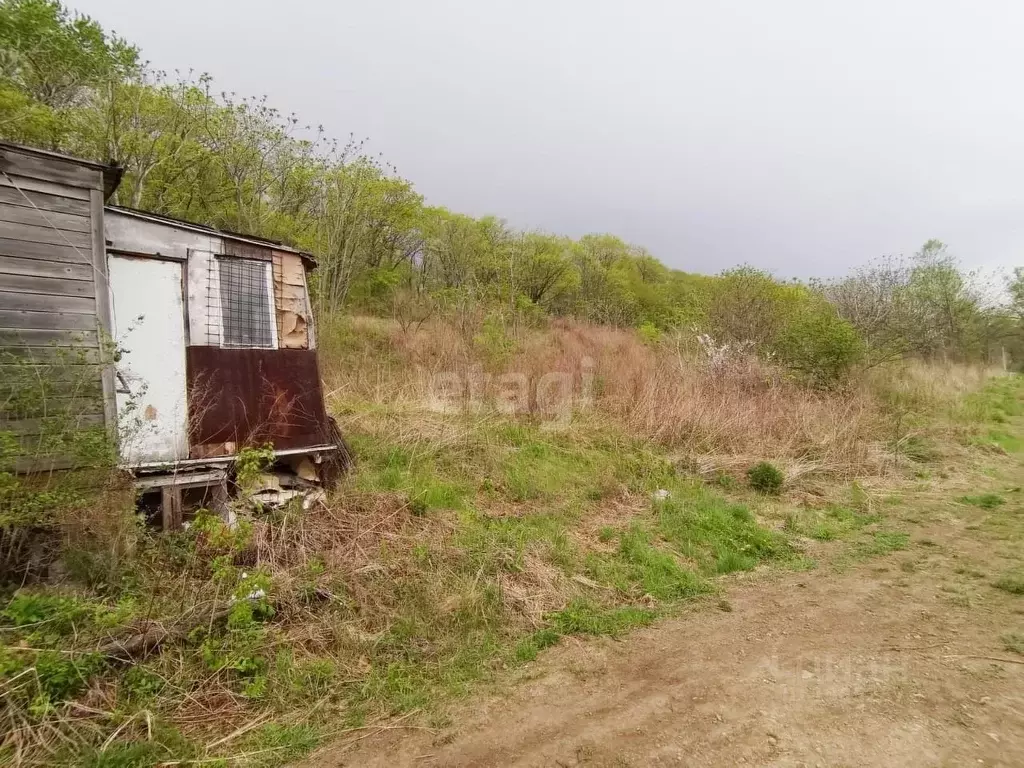 Участок в Приморский край, Надеждинский район, Сиреневка СНТ ул. ... - Фото 1