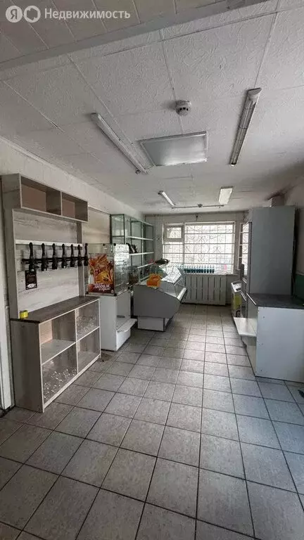 Помещение свободного назначения (61.4 м) - Фото 2