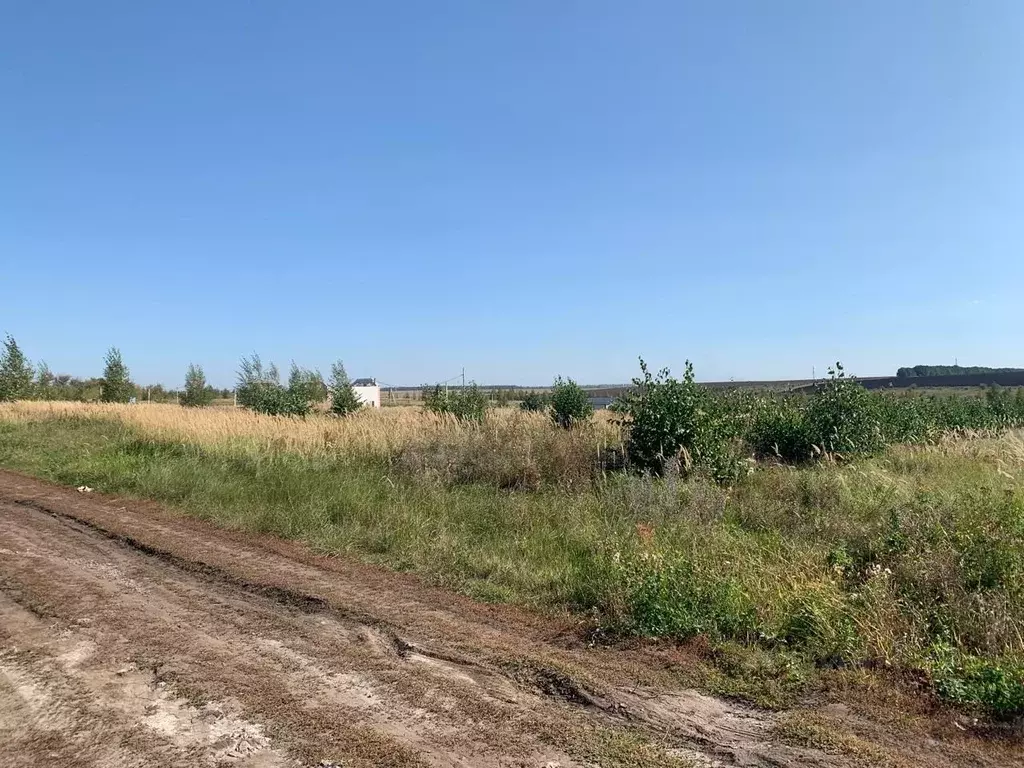 Участок в Липецкая область, Липецкий муниципальный округ, д. Ясная ... - Фото 1