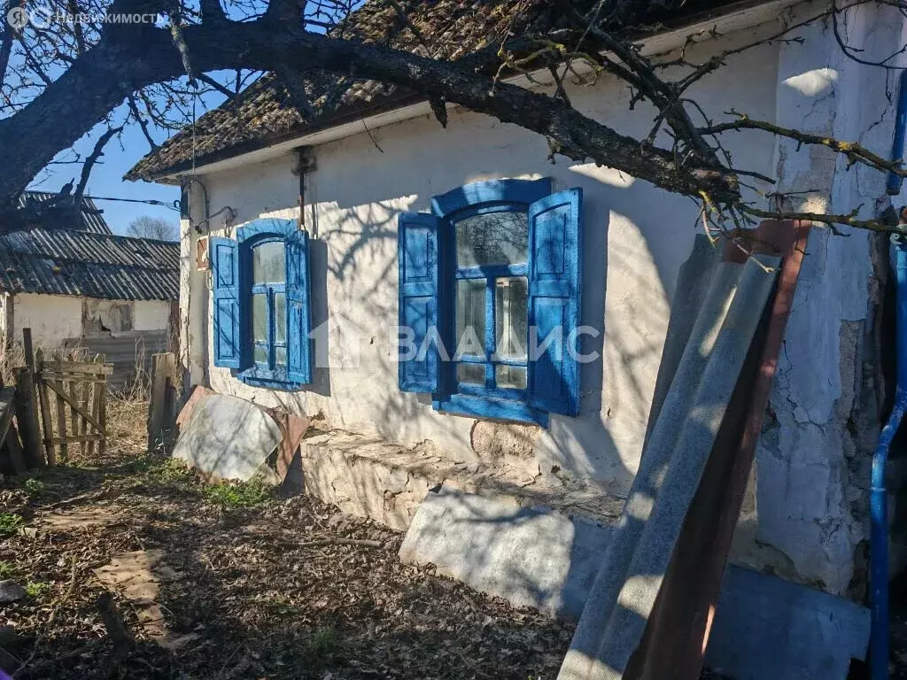 Дом в село Шопино, Криничная улица, 29 (42.1 м) - Фото 1