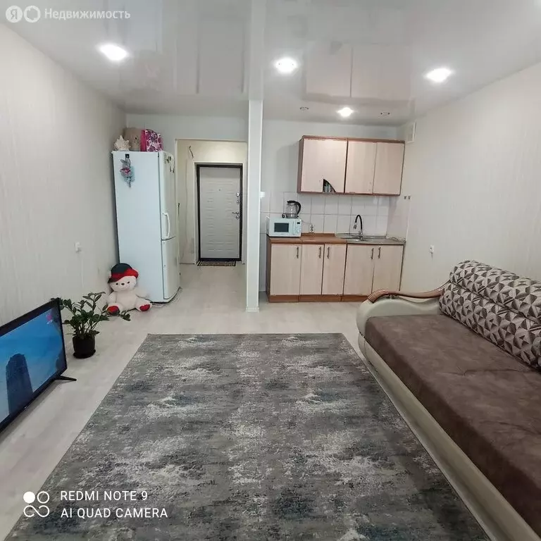 Квартира-студия: село Чигири, Европейская улица, 7/1 (26.1 м) - Фото 1