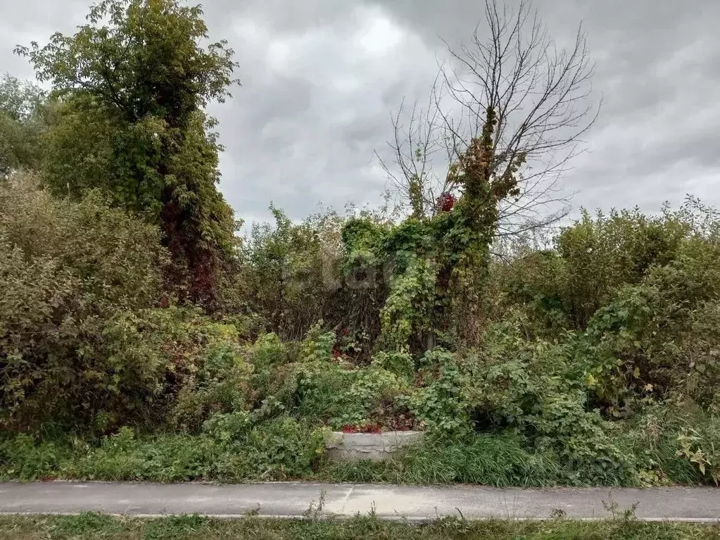 Участок в Белгородская область, Белгород ул. Дружбы, 21 (10.0 сот.) - Фото 1