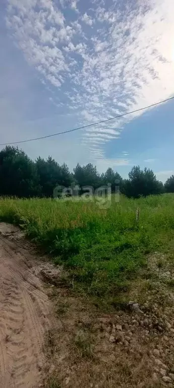 Участок в Калужская область, Перемышльский муниципальный округ, ... - Фото 2