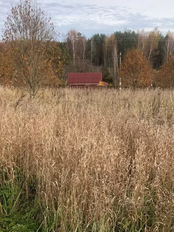 Участок в Ленинградская область, Лужский район, Толмачевское городское ... - Фото 1