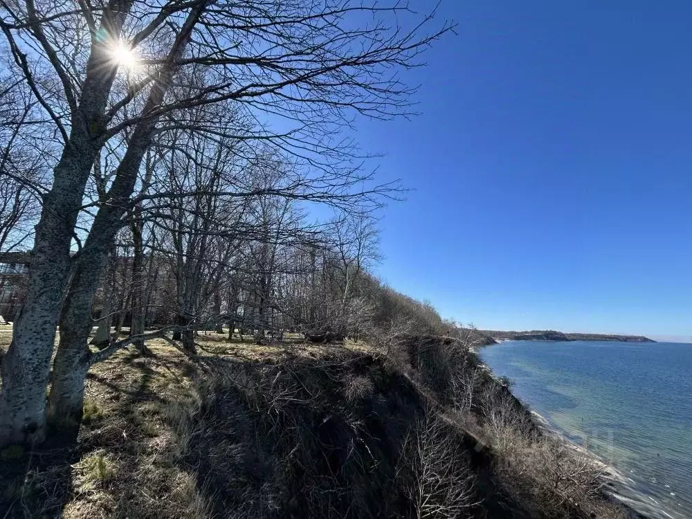 2-к кв. Калининградская область, Светлогорский городской округ, пос. ... - Фото 1