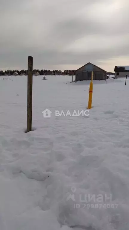 Участок в Удмуртия, Завьяловский район, с. Люк ул. Восточная (26.0 ... - Фото 1