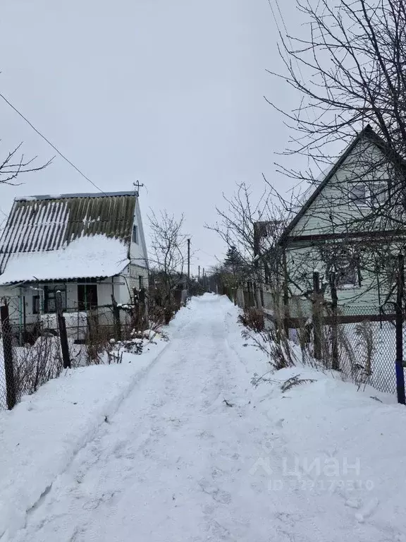 Участок в Курская область, Курский район, Щетинский сельсовет, ... - Фото 2