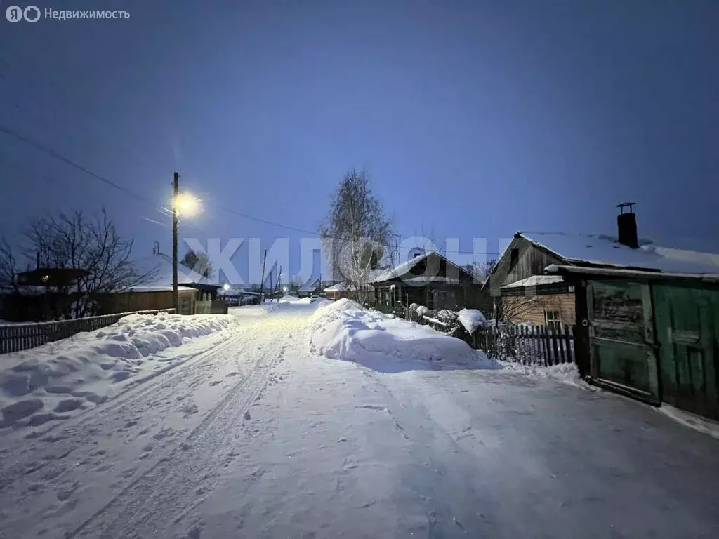 Дом в Черепаново, улица Максима Горького (29.3 м) - Фото 1