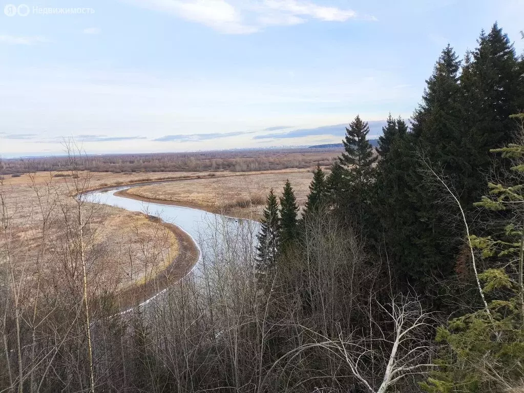 Участок в Пермский муниципальный округ, Култаевское территориальное ... - Фото 2