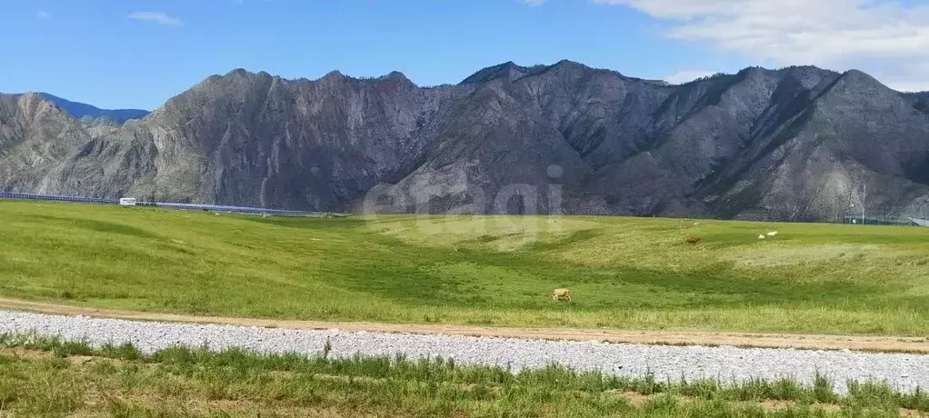 Участок в Алтай, Онгудайский район, с. Малый Яломан  (2.62 сот.) - Фото 1