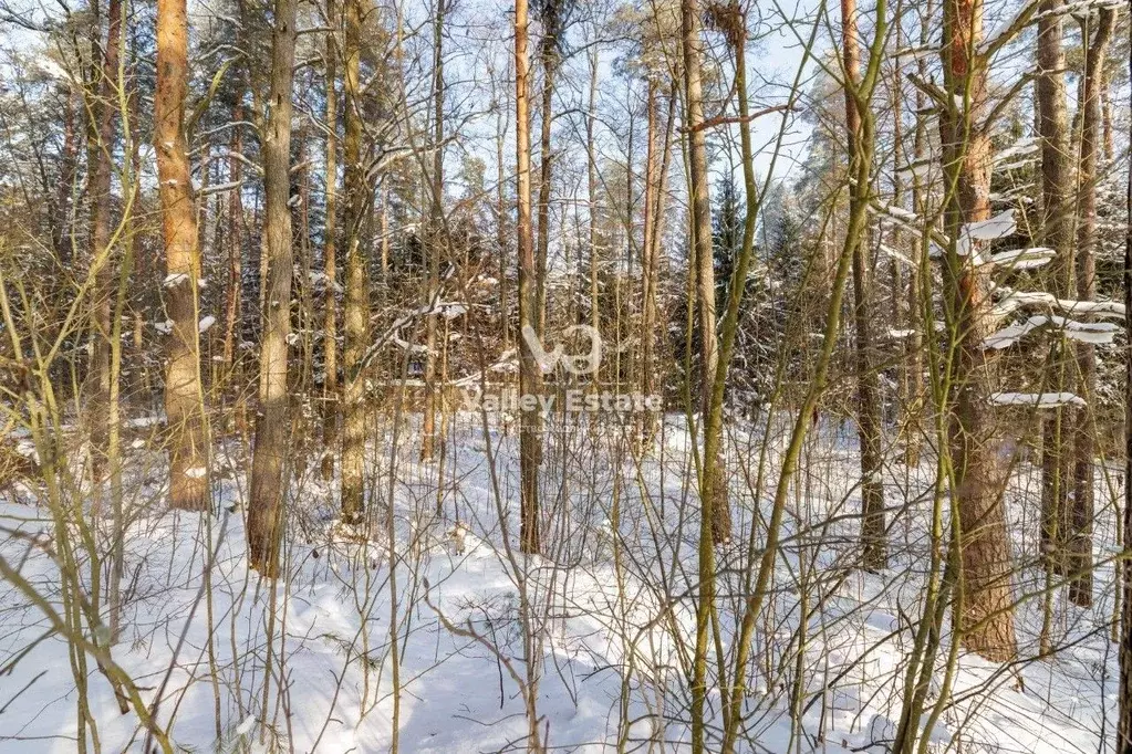 Участок в Санкт-Петербург пос. Солнечное, Ласковый Пляж тер.,  (30.0 ... - Фото 2