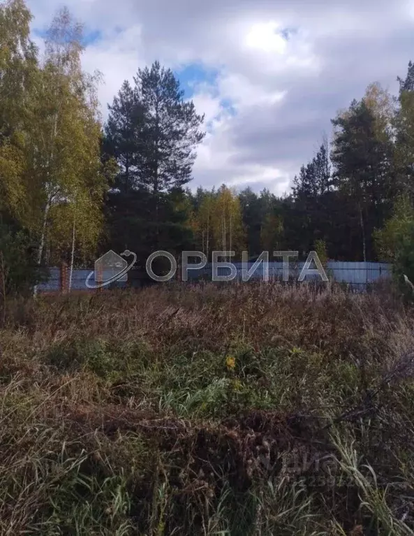 Участок в Тюменская область, Тюменский муниципальный округ, д. Ушакова ... - Фото 1
