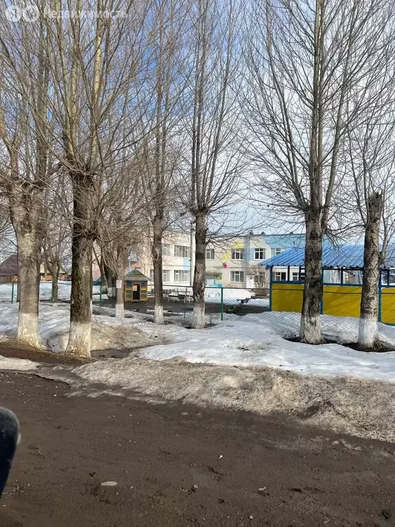 Участок в Пермский муниципальный округ, деревня Петровка (10.94 м) - Фото 2