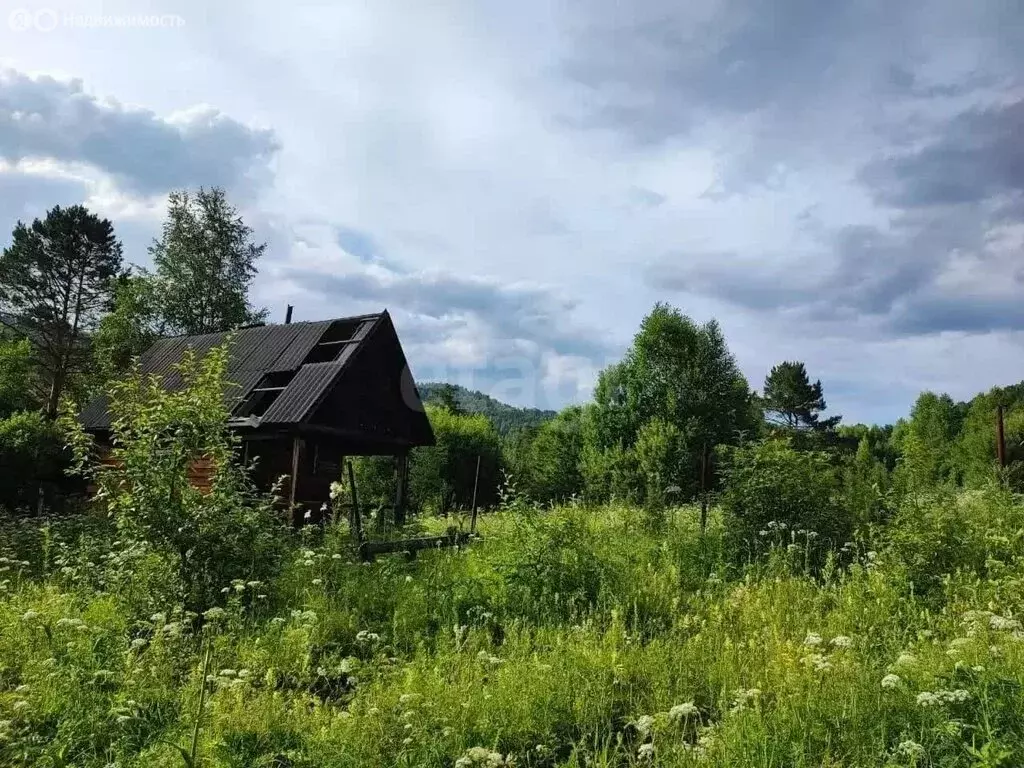 Участок в Майминский район, село Манжерок (20 м) - Фото 1