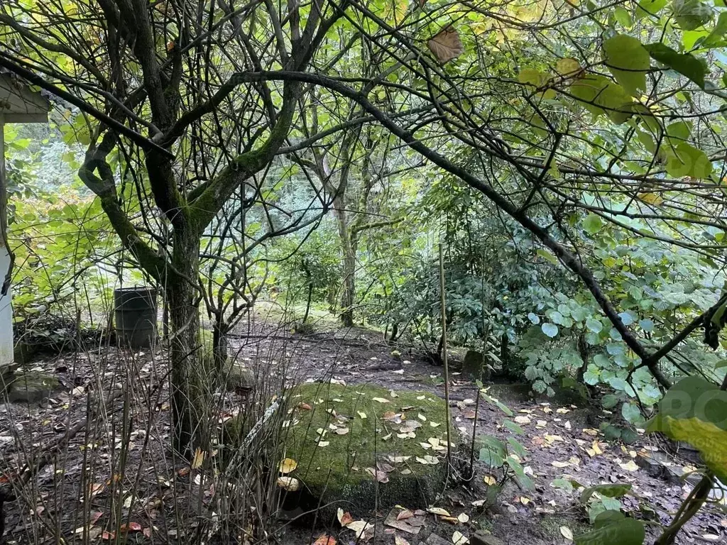 Участок в Краснодарский край, Сочи ул. Володарского (8.5 сот.) - Фото 2