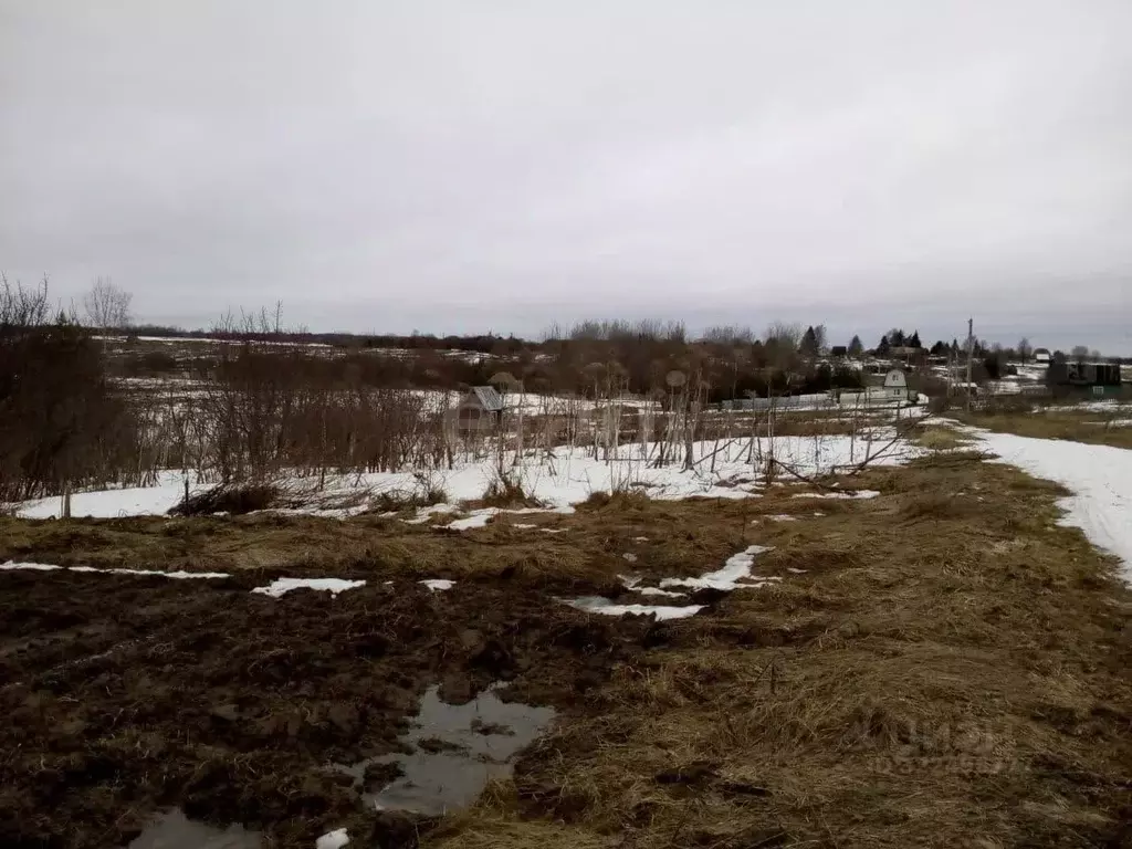 Участок в Вологодская область, пос. Васильевское  (10.0 сот.) - Фото 1