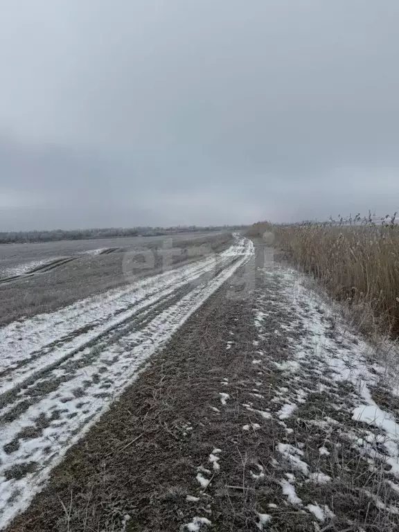 Участок в Ставропольский край, Минераловодский муниципальный округ, ... - Фото 1