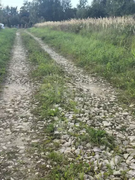 Участок в Калужская область, Бабынинский район, Утешево с/пос, с. ... - Фото 1