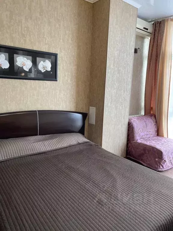 Студия Краснодарский край, Сочи Курортный просп., 75к1 (21.0 м) - Фото 2