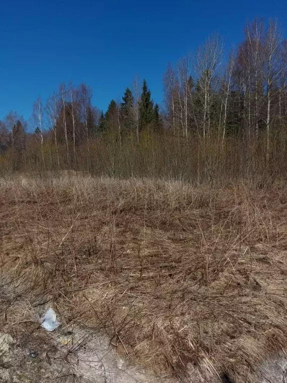 Участок в Ленинградская область, Ломоносовский район, Лопухинское ... - Фото 1