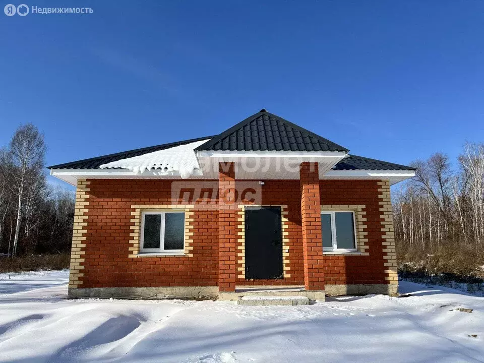 Дом в Амурская область, Благовещенский муниципальный округ, село ... - Фото 1