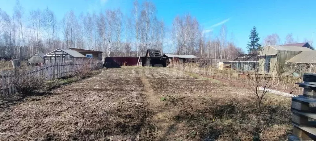 Участок в Свердловская область, Нижний Тагил Горняк-1 СНТ,  (6.11 ... - Фото 2