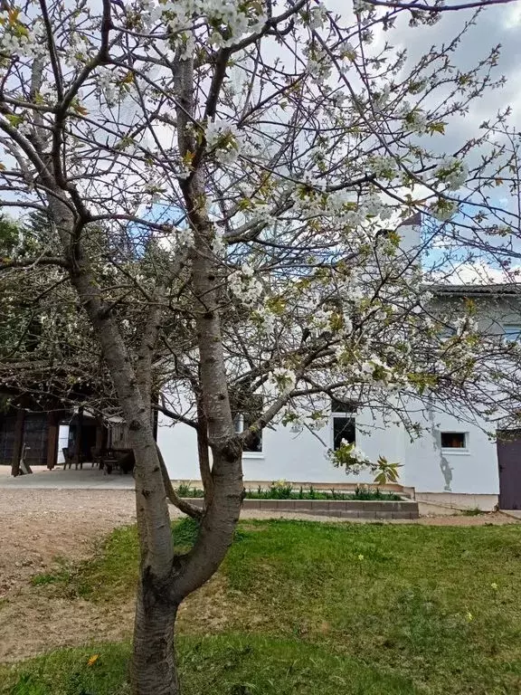 Дом в Псковская область, Пушкинские Горы рп ул. Звездная, 11 (150 м) - Фото 2