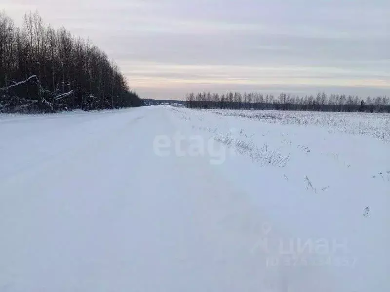 Участок в Костромская область, Кострома проезд Кружевной (8.9 сот.) - Фото 1