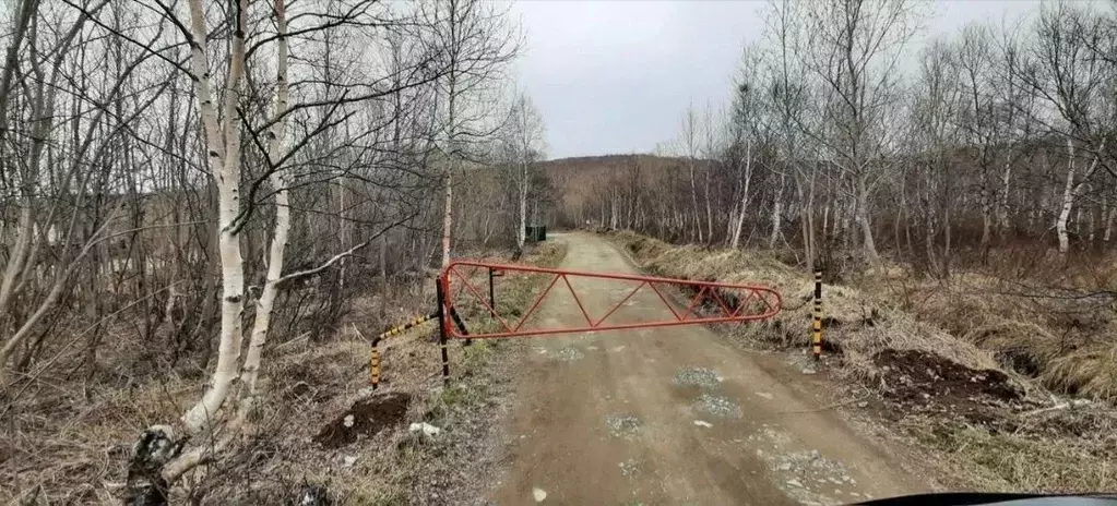 Дом в Камчатский край, Елизовский муниципальный округ, Здоровье СНТ  ... - Фото 1