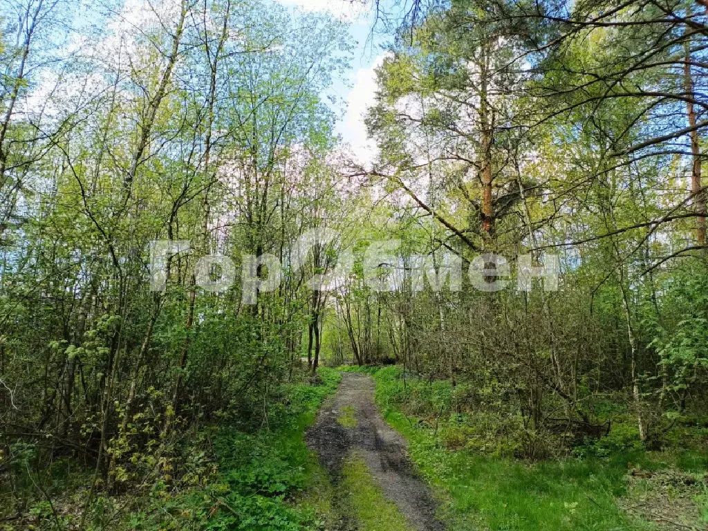 Продается участок - Фото 2