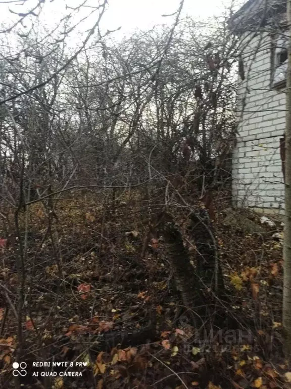 Участок в Белгородская область, Яковлевский муниципальный округ, с. ... - Фото 1