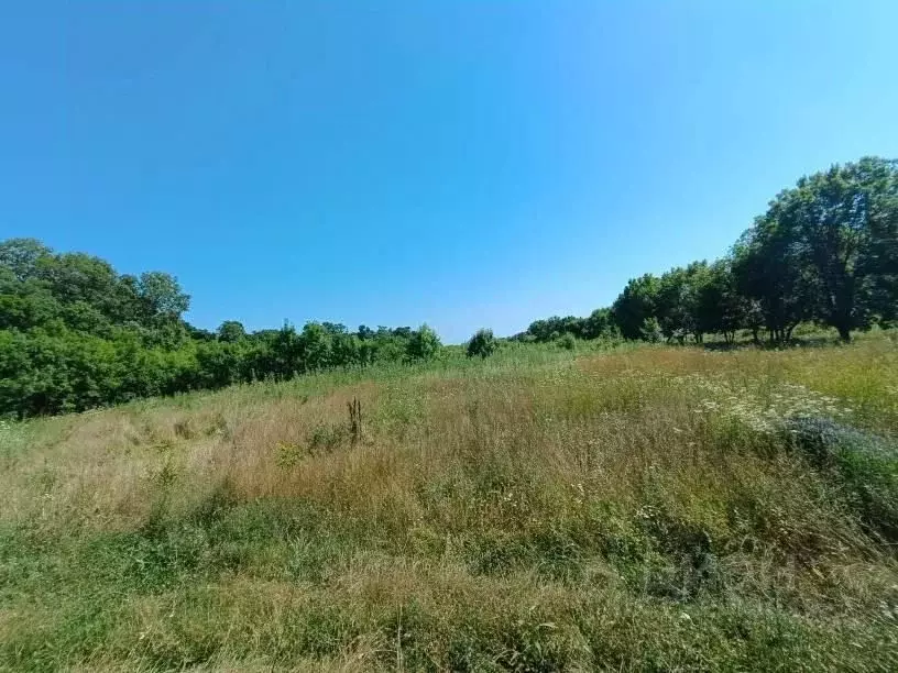 Участок в Краснодарский край, Новороссийск городской округ, с. Южная ... - Фото 0