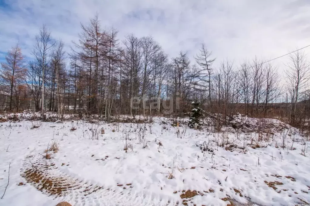 Участок в Сахалинская область, Южно-Сахалинск Эврика СНТ, 11 (11.6 ... - Фото 1