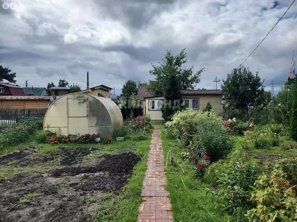 Участок в Новосибирск, садовое товарищество Кедр (4.66 м) - Фото 1