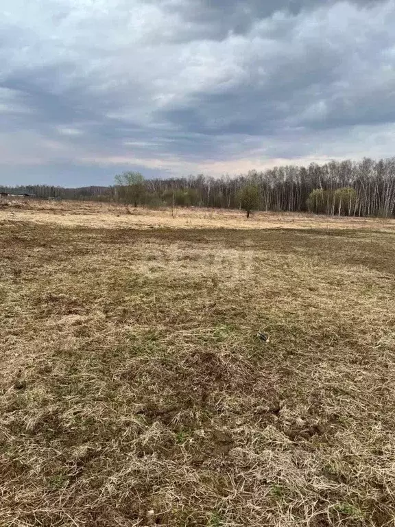 Участок в Московская область, Чехов городской округ, д. Дмитровка  ... - Фото 0