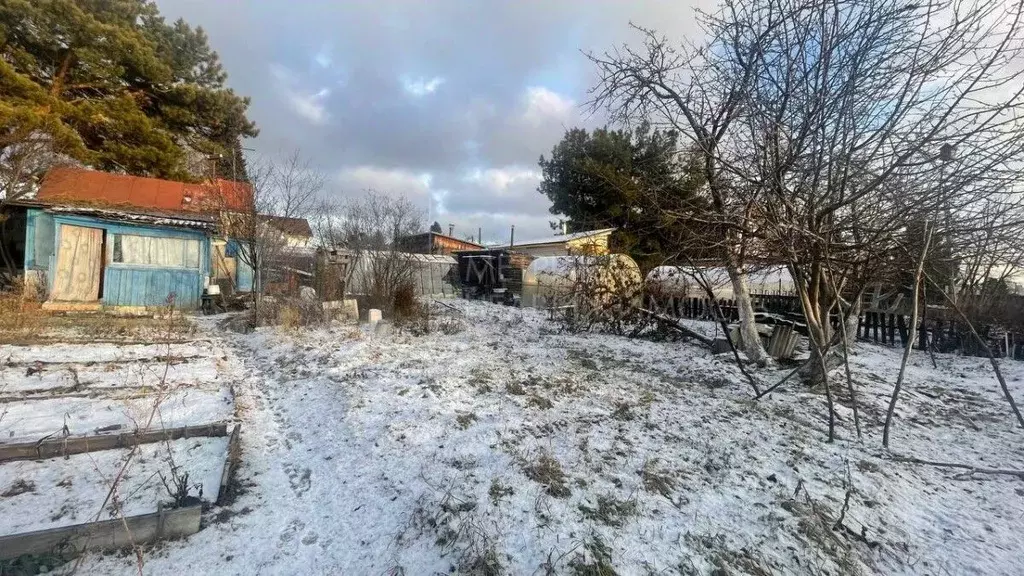Дом в Тюменская область, Тюмень Березка садовое товарищество, ул. ... - Фото 1