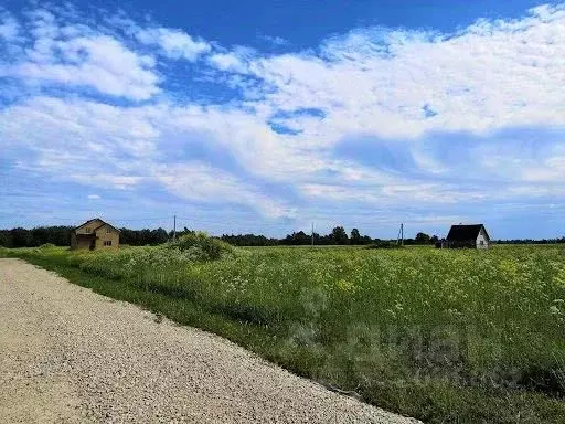 Участок в Московская область, Пушкинский городской округ, ... - Фото 1