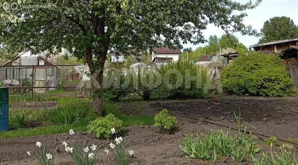 Дом в Новосибирск, садовое товарищество Цветущая Сибирь (20 м) - Фото 1