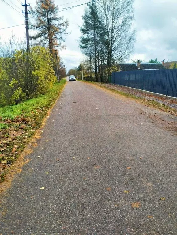 Участок в Ленинградская область, Гатчинский муниципальный округ, д. ... - Фото 2