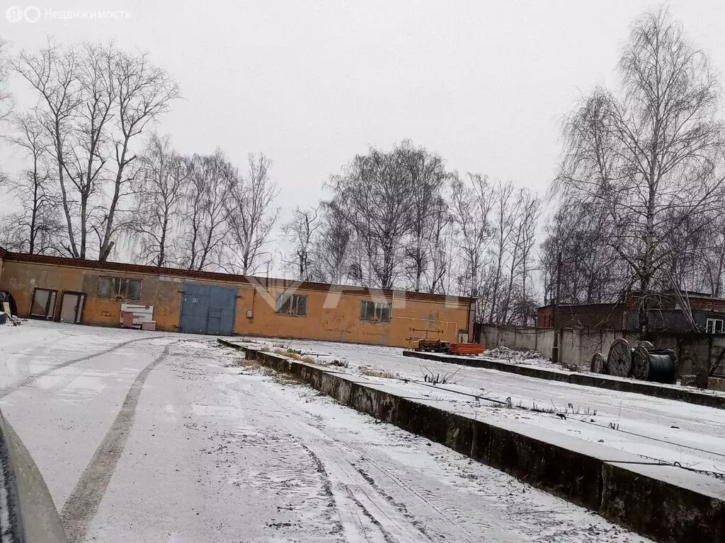 Склад (186.4 м) - Фото 1